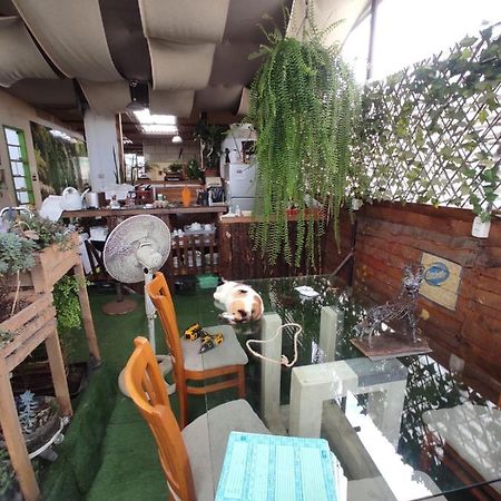 717 Pizarro Guesthouse 特鲁希略 外观 照片