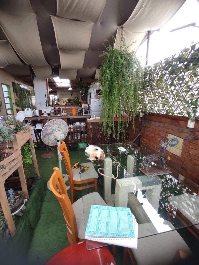 717 Pizarro Guesthouse 特鲁希略 外观 照片